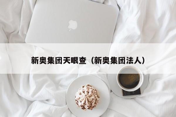 新奥集团天眼查（新奥集团法人）
